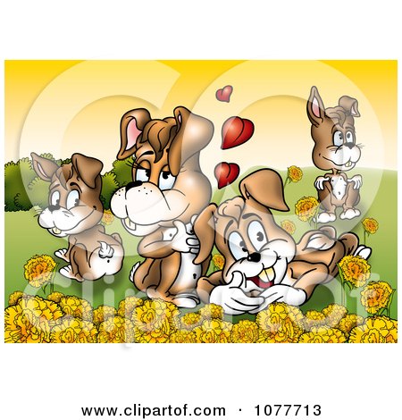 Clipart Rabbit Family In A Meadow With Yellow Flowers - Royalty Free Illustration by dero