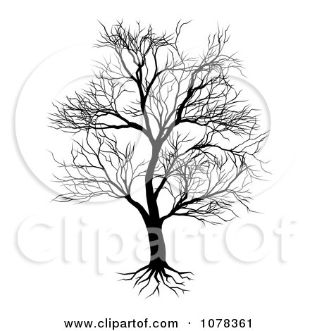 Clipart Silhouetted Mature Bare Tree And Roots - Royalty Free Vector Illustration by AtStockIllustration