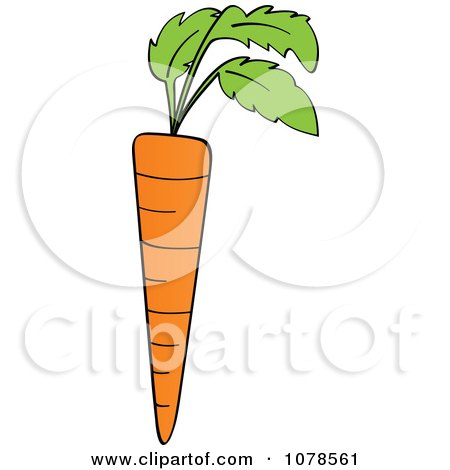 Clipart Orange Carrot And Leaves - Royalty Free Vector Illustration by Andrei Marincas