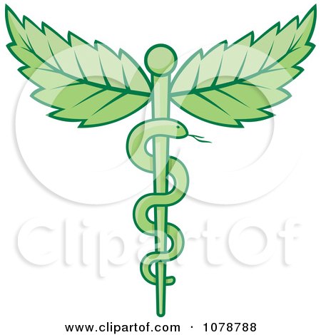 Clipart Green Medical Caduceus With Leaves - Royalty Free Vector Illustration by Any Vector
