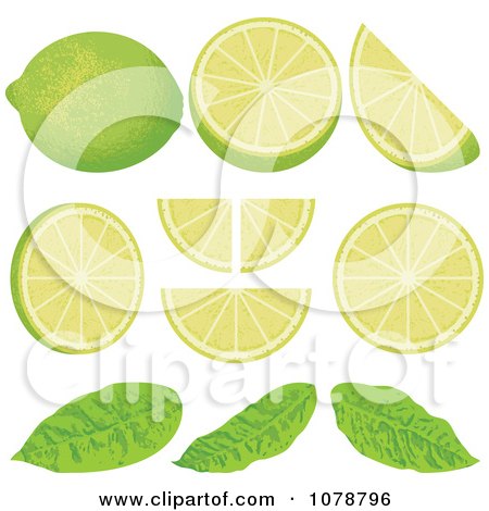 Clipart Pieces Of Lime Wedges With Leaves - Royalty Free Vector Illustration by Any Vector