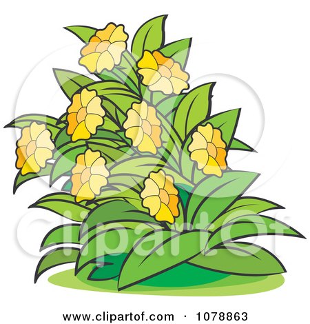 Clipart Bush With Yellow Flowers 1 - Royalty Free Vector Illustration by Lal Perera