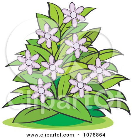 Clipart Bush With Purple Flowers - Royalty Free Vector Illustration by Lal Perera