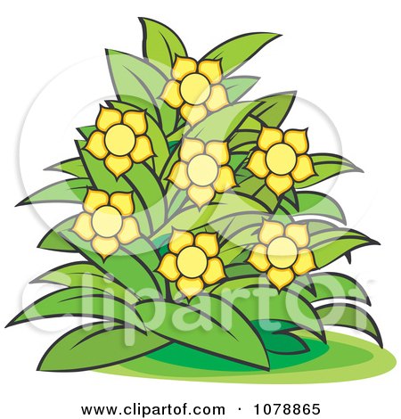 Clipart Bush With Yellow Flowers 2 - Royalty Free Vector Illustration by Lal Perera
