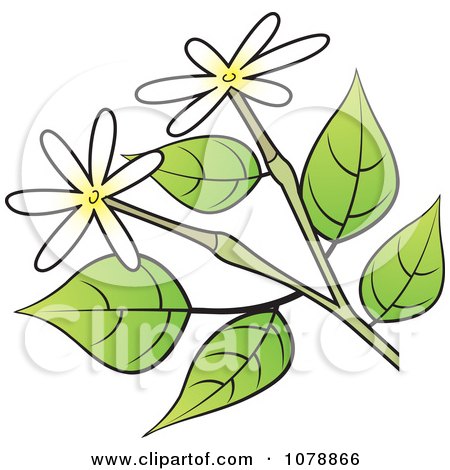 Clipart Branch With Small White And Yellow Flowers - Royalty Free Vector Illustration by Lal Perera
