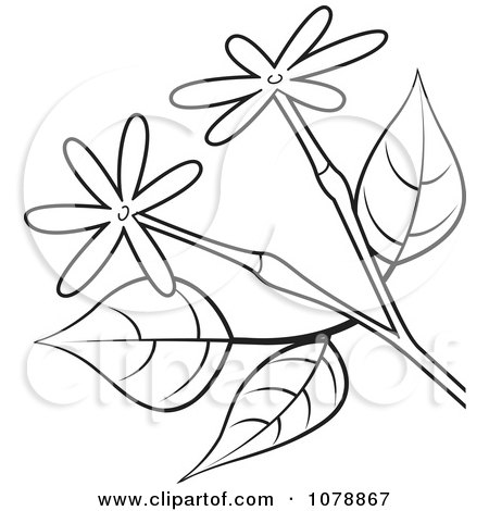 Clipart Black And White Branch With Small Flowers - Royalty Free Vector Illustration by Lal Perera
