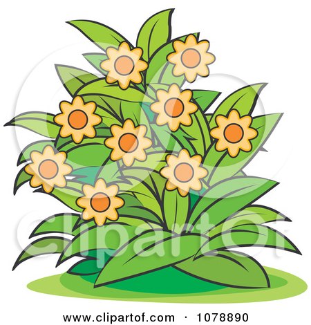 Clipart Bush With Orange Flowers - Royalty Free Vector Illustration by Lal Perera