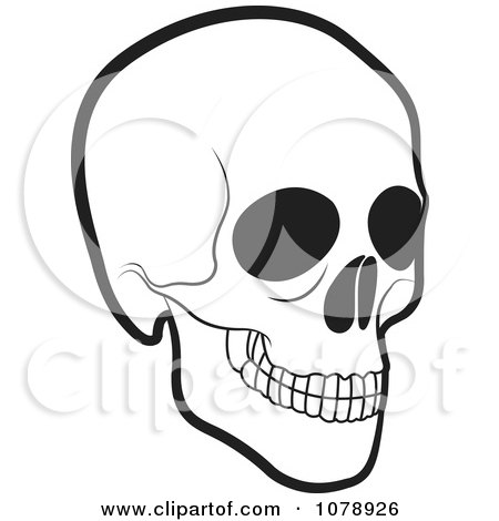Clipart Black And White Human Skull - Royalty Free Vector Illustration by Lal Perera