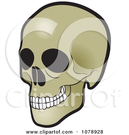 Clipart Human Skull - Royalty Free Vector Illustration by Lal Perera