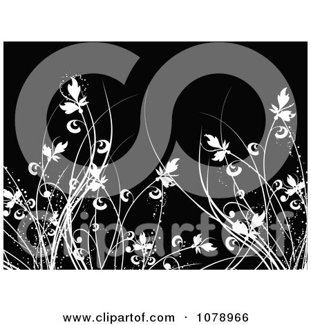 Clipart Black Floral Background With White Foliage - Royalty Free Vector Illustration by KJ Pargeter