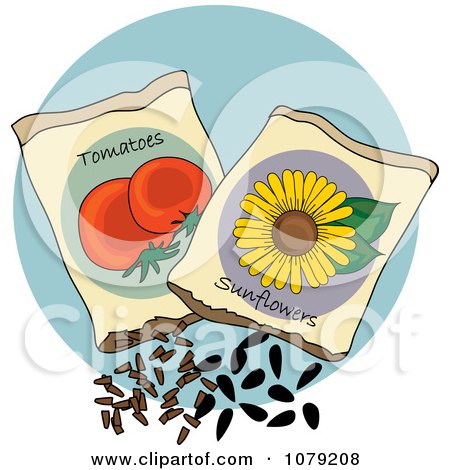 Clipart Packets Of Tomato And Sunflower Seeds - Royalty Free Vector Illustration by Pams Clipart