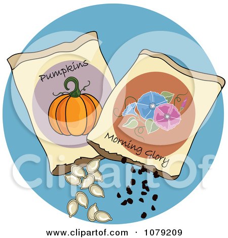 Clipart Packets Of Pumpkin And Morning Glory Seeds - Royalty Free Vector Illustration by Pams Clipart