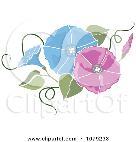 Clipart Pink And Blue Morning Glory Flowers - Royalty Free Vector Illustration by Pams Clipart
