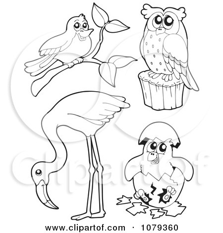 Clipart Outlined Birds - Royalty Free Vector Illustration by visekart