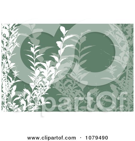 Clipart Green Floral Background - Royalty Free Vector Illustration by KJ Pargeter