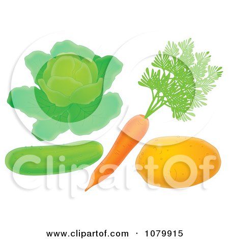 Clipart Cucumber Lettuce Carrot And Potato - Royalty Free Illustration by Alex Bannykh