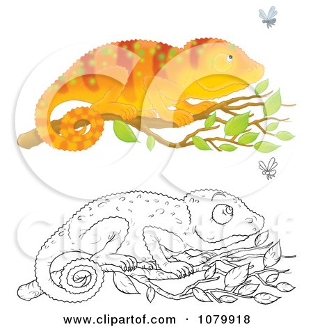 Clipart Colored And Outlined Chameleons With Flies - Royalty Free Illustration by Alex Bannykh