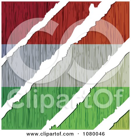 Clipart Rips Through A Wooden Hungary Flag - Royalty Free Vector Illustration by Andrei Marincas