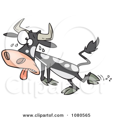 Clipart Sweating Hot Cow - Royalty Free Vector Illustration by toonaday
