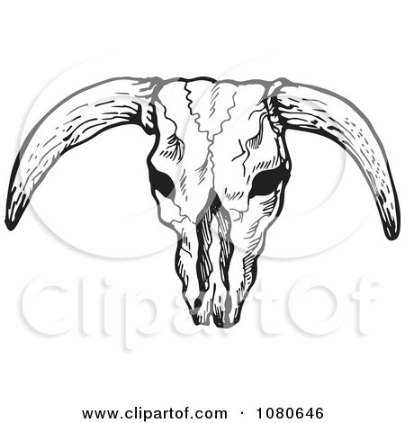 Clipart Black And White Bull Skull With Horns - Royalty Free Vector Illustration by patrimonio