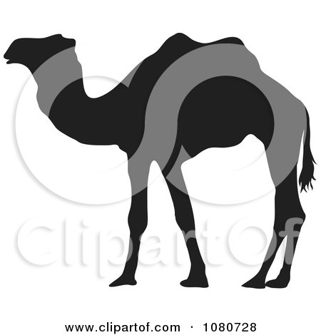 Clipart Silhouetted Camel - Royalty Free Vector Illustration by Prawny