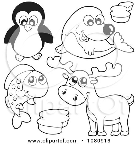 Clipart Outlined Penguin Seal Fish And Deer - Royalty Free Vector Illustration by visekart