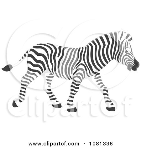 Clipart Walking Zebra - Royalty Free Vector Illustration by Alex Bannykh