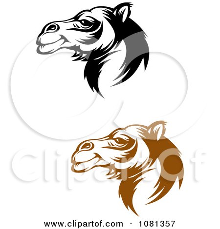 Clipart Brown And Black And White Camel Face Profiles - Royalty Free Vector Illustration by Vector Tradition SM