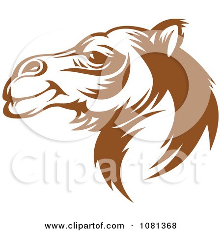 Clipart Brown And White Camel Face Profile - Royalty Free Vector Illustration by Vector Tradition SM