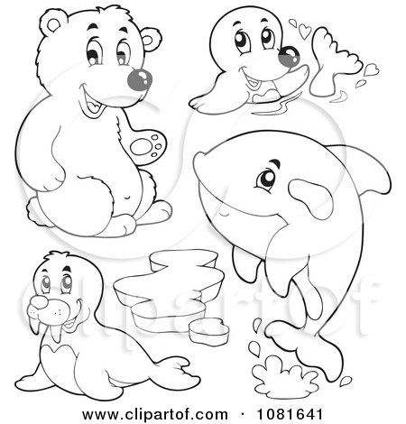 Clipart Outlined Bear Seal Walrus And Whale - Royalty Free Vector Illustration by visekart