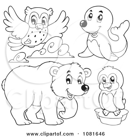 Clipart Outlined Owl Seal Penguin And Bear - Royalty Free Vector Illustration by visekart