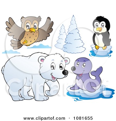 Clipart Flying Owl Penguin Polar Bear And Seal - Royalty Free Vector Illustration by visekart