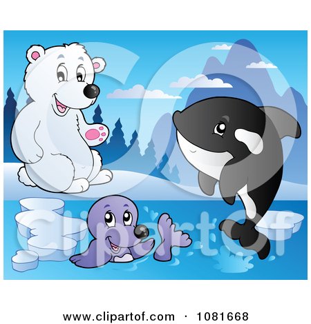 Clipart Polar Bear Watching A Seal And Orca - Royalty Free Vector Illustration by visekart