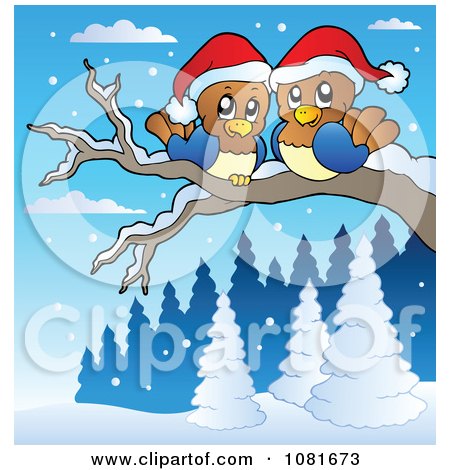 Clipart Christmas Love Birds On A Winter Branch - Royalty Free Vector Illustration by visekart
