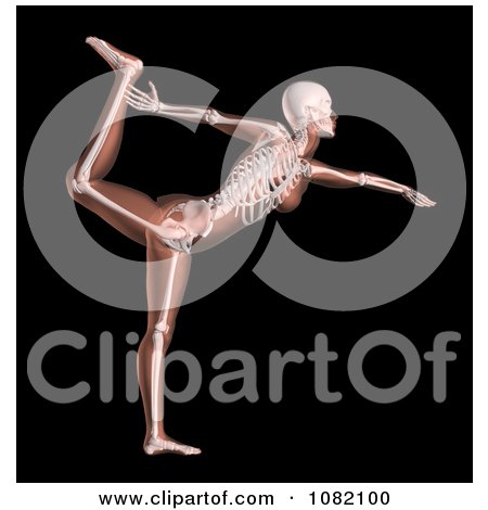 Clipart 3d Anatomy Female Yoga Woman - Royalty Free CGI Illustration by KJ Pargeter