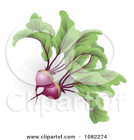 Clipart 3d Beetroot Beets - Royalty Free Vector Illustration by AtStockIllustration