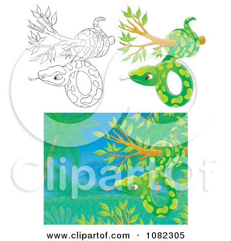 Clipart Outlined And Green Snakes In Trees - Royalty Free Illustration by Alex Bannykh