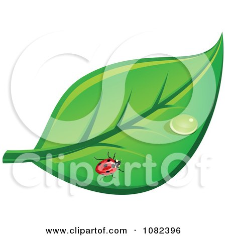 Clipart Ladybug On A Leaf With A Dew Drop - Royalty Free Vector Illustration by Vector Tradition SM