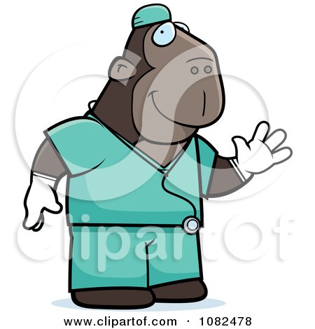 Clipart Ape Surgeon Doctor In Scrubs - Royalty Free Vector Illustration by Cory Thoman
