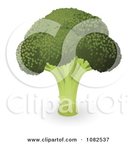 Clipart Head Of Organic Broccoli - Royalty Free Vector Illustration by AtStockIllustration