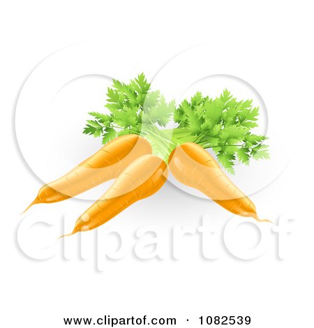 Clipart 3d Fresh Orange Carrots - Royalty Free Vector Illustration by AtStockIllustration