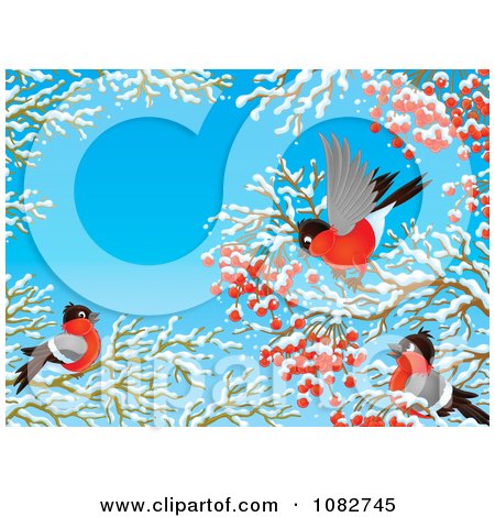 Clipart Airbrushed Robins Gathering Berries In Winter Branches - Royalty Free Illustration by Alex Bannykh