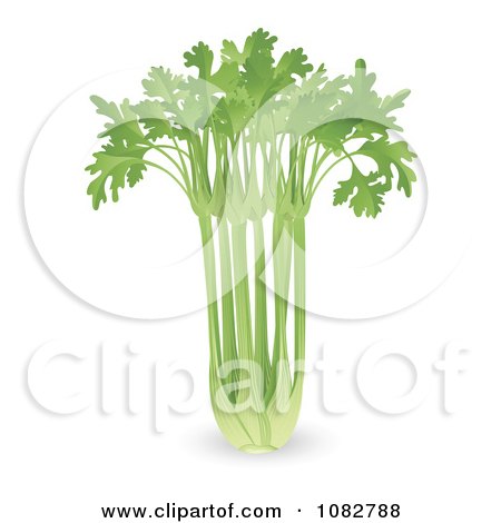 Clipart 3d Bunch Of Celery - Royalty Free Vector Illustration by AtStockIllustration