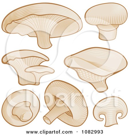 Clipart Woodcut Styled Mushrooms - Royalty Free Vector Illustration by Any Vector