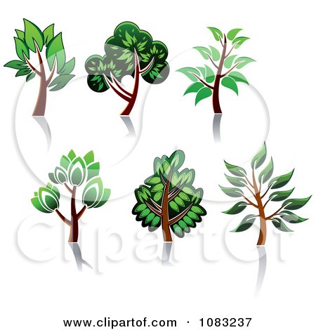Clipart Green Trees And Reflections - Royalty Free Vector Illustration by Vector Tradition SM