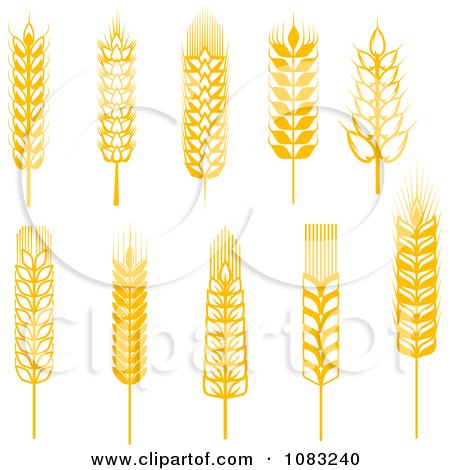 Clipart Golden Grains - Royalty Free Vector Illustration by Vector Tradition SM