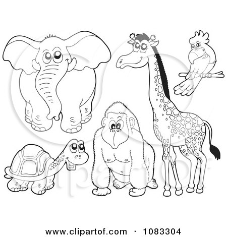 Clipart Outlined Elephant Tortoise Gorilla Giraffe And Parrot - Royalty Free Vector Illustration by visekart