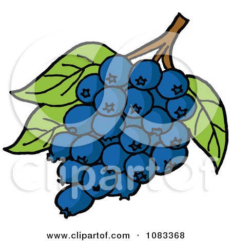 Clipart Bunch Of Blueberries And Leaves - Royalty Free Vector Illustration by LaffToon