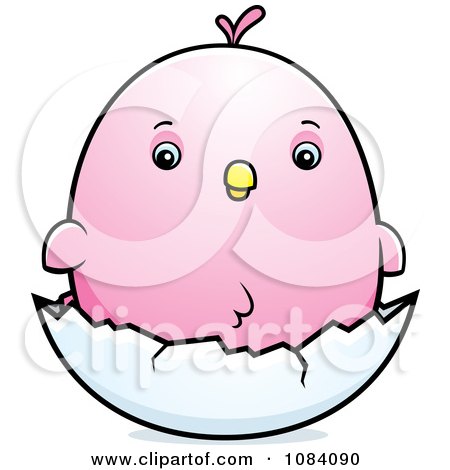 Clipart Chubby Pink Parakeet Chick On A Shell - Royalty Free Vector Illustration by Cory Thoman