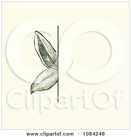 Clipart Green Leaves Invitation Background On Cream 2 - Royalty Free Vector Illustration by BestVector
